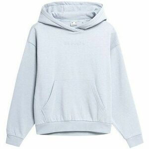 Pulóverek 4F BLD031 kép