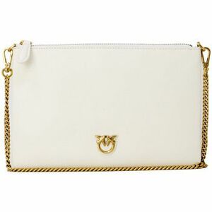 Kistáskák Pinko FLAT CLASSIC VITELLO SETA 100455 A0F1 kép