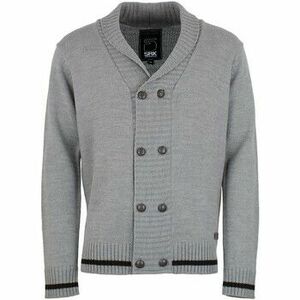 Mellények / Kardigánok Srk Gilet homme COTEM kép
