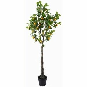 Műnövények Signes Grimalt Lemon Tree Xgra. kép