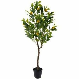 Műnövények Signes Grimalt Citromfa L kép