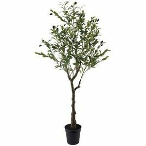 Műnövények Signes Grimalt Olive Tree S kép