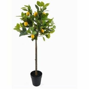 Műnövények Signes Grimalt Citromfa M kép
