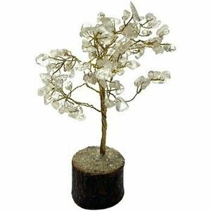 Műnövények Signes Grimalt Drágakőfa S kép