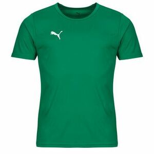 Rövid ujjú pólók Puma TEAMRISE MATCHDAY kép