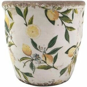 Vázák, beltéri kaspók Signes Grimalt Citromültető kép