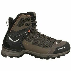 Túracipők Salewa Mtn Trainer Lite Mid Gtx kép