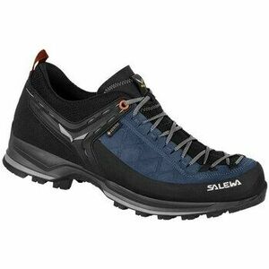 Túracipők Salewa Mtn Trainer 2 Gtx kép