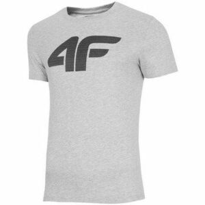 Rövid ujjú pólók 4F TSM353 kép