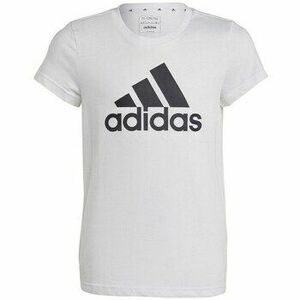 Rövid ujjú pólók adidas Big Logo Tee Jr kép