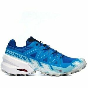 Futócipők Salomon Speedcross 6 Lapis kép