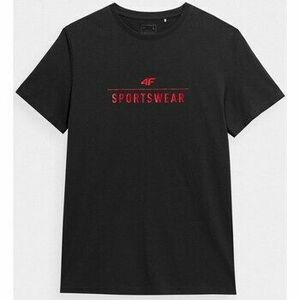 Rövid ujjú pólók 4F TSHM539 kép