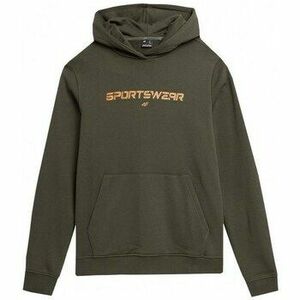 Pulóverek 4F 4FAW23TSWSM077343S kép