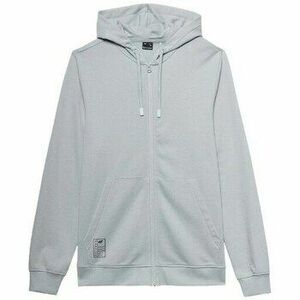 Pulóverek 4F 4FSS23TSWSM26747S kép