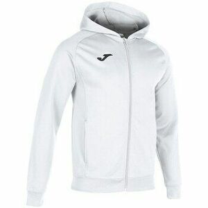 Pulóverek Joma Menfis Hoodie kép