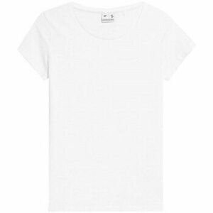 Rövid ujjú pólók 4F 4FAW23TTSHF090610S kép