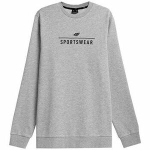 Pulóverek 4F M692 M 27m kép