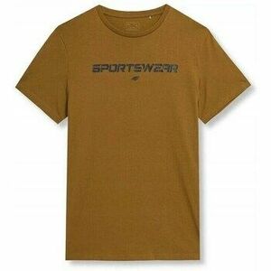 Rövid ujjú pólók 4F 4FAW23TTSHM095074S kép