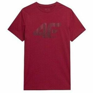 Rövid ujjú pólók 4F 4FSS23TTSHM30961S kép