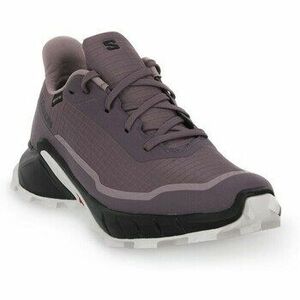 Futócipők Salomon Alphacross 5 Gtx kép