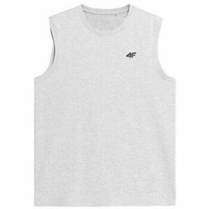 Rövid ujjú pólók 4F 4FSS23TSLEM01627M kép