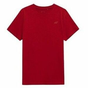 Rövid ujjú pólók 4F 4FAW23TTSHM087662S kép