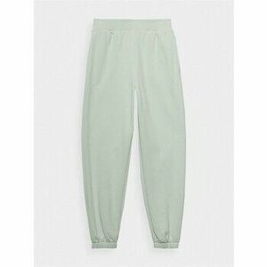 Futónadrágok / Melegítők 4F 4FWSS24TTROF666LIGHTGREEN kép