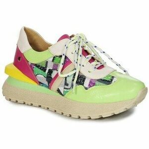 Rövid szárú edzőcipők Maciejka 0632209001 kép