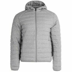 Dzsekik JOTT Nico kép