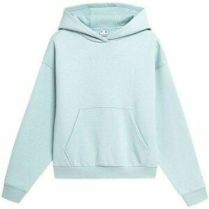 Pulóverek 4F BLD031 kép