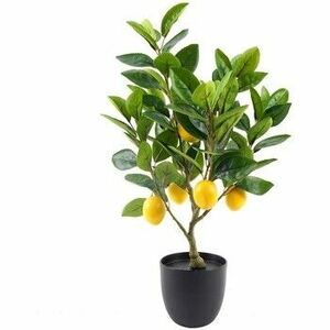 Műnövények Signes Grimalt Citromfa Xs kép