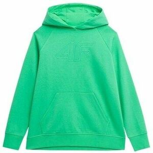 Pulóverek 4F SS23TSWSF53541S kép