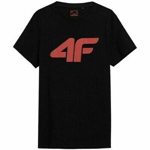 Rövid ujjú pólók 4F 4FSS23TTSHM53721S kép