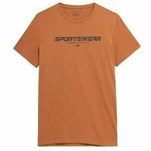 Rövid ujjú pólók 4F 4FSS23TTSHM36481S kép