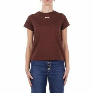 Rövid ujjú pólók Pinko 100373A34F kép