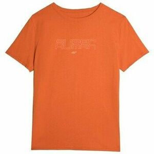 Rövid ujjú pólók 4F 4FAW23TTSHM086570S kép