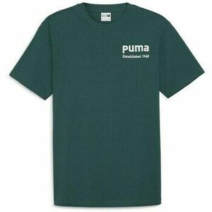 Rövid ujjú pólók Puma Team Graphic Tee kép