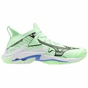 Fedett pályás sport Mizuno Wave Lightning kép