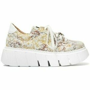 Rövid szárú edzőcipők Maciejka 0689111008 kép