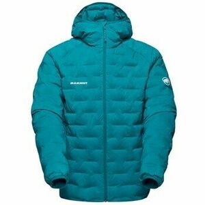 Kabátok Mammut 10130347040320 kép