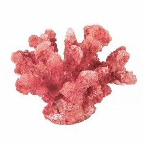 Műnövények Signes Grimalt Ornament Coral Mar. kép