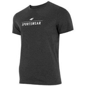 Rövid ujjú pólók 4F SS23TTSHM539CIEMNYSZARYMELAN kép