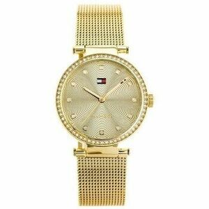 Analóg karórák Tommy Hilfiger ty160710 kép