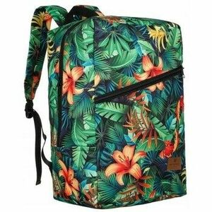 Hátitáskák Peterson PTNPLEC0352861 kép