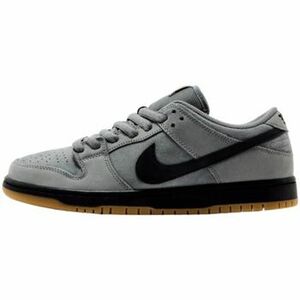 Rövid szárú edzőcipők Nike SB Dunk Low Pro Cool Grey kép