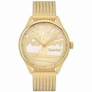 Analóg karórák Timberland TBLTDWLG2200302 kép
