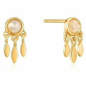 Fülbevalók Ania Haie e02606g kép