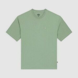 Rövid ujjú pólók Dickies CLANCY HEAVYWEIGHT kép