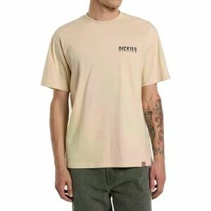 Rövid ujjú pólók Dickies PELHAM TEE kép