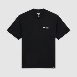 Rövid ujjú pólók Dickies BURNS TEE SS kép